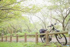初秋の公園