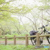 初秋の公園