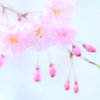 ふわり