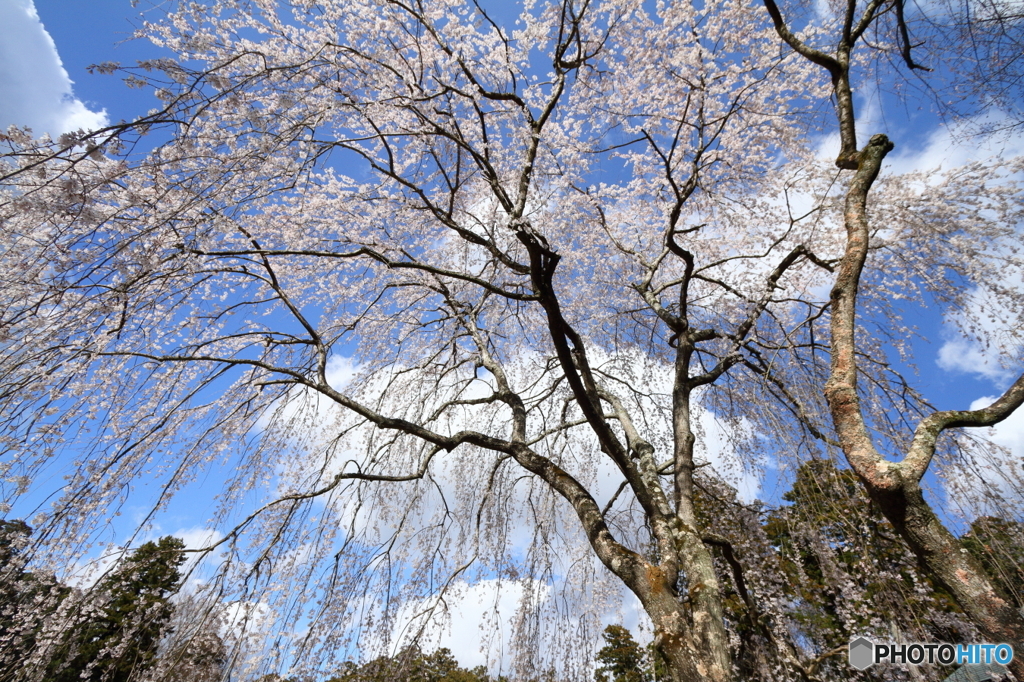 空を見上げて