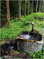 湧き水