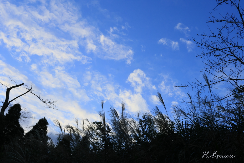 秋空