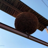 酒蔵の空2