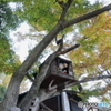 きたろうはうす
