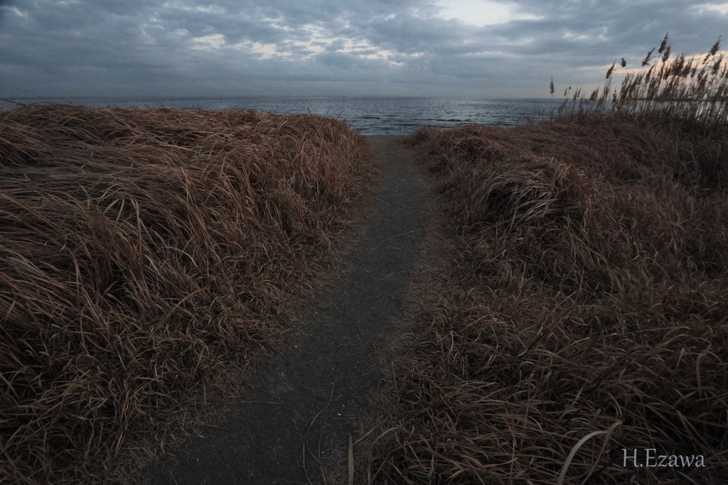 海への道