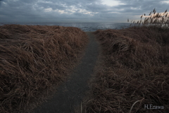 海への道