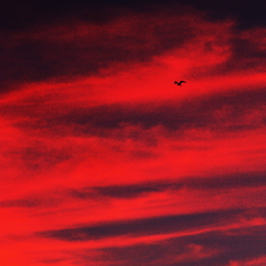 赤い空