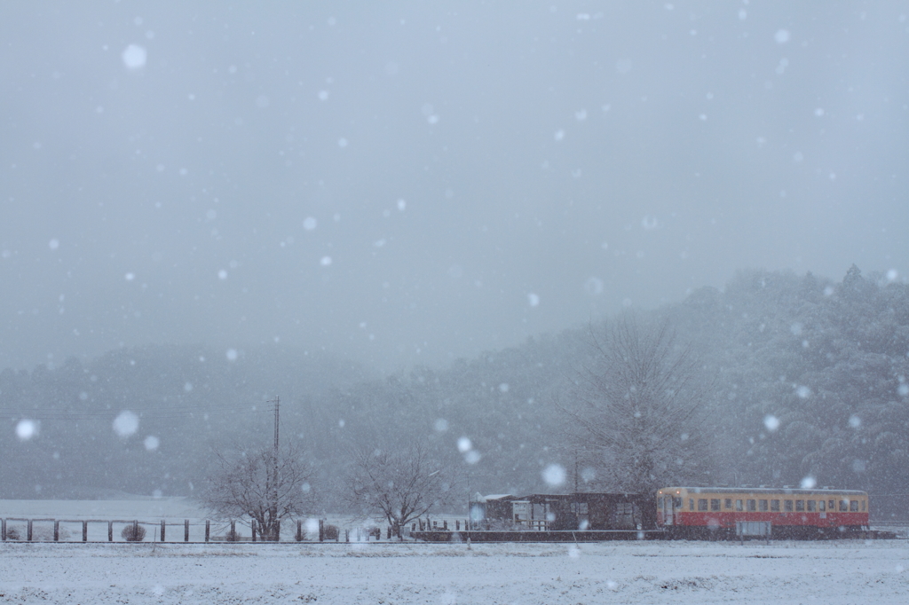 雪が降る