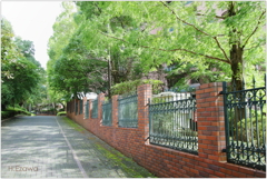 赤レンガの続く道 赤レンガの続く道