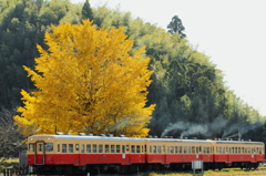 晩秋の田園駅