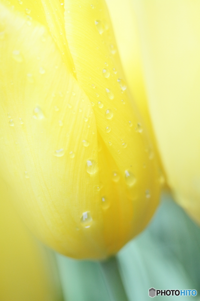 雨に濡れても