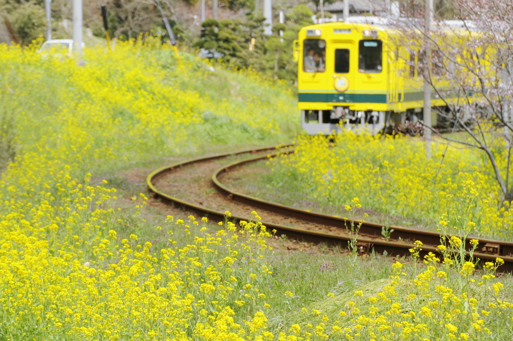 Yellow in yellow