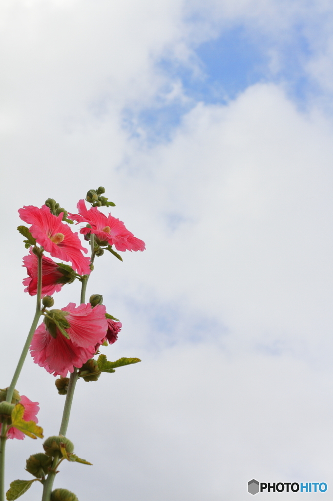 夏が来たなぁ・
