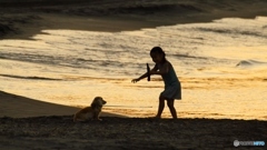 少女と犬