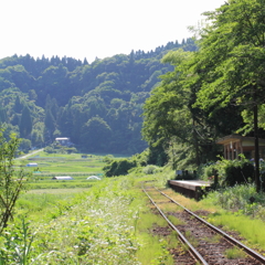 里山の夏