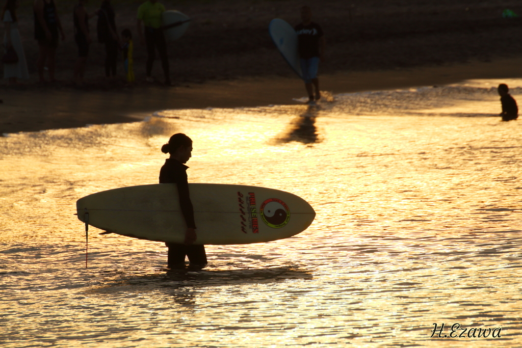 surfer girl2