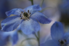 Blue fantasy