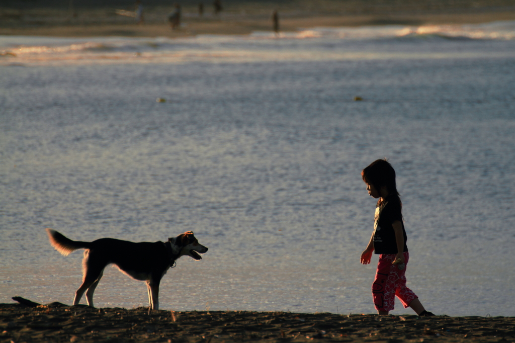 少年と犬