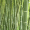 静寂