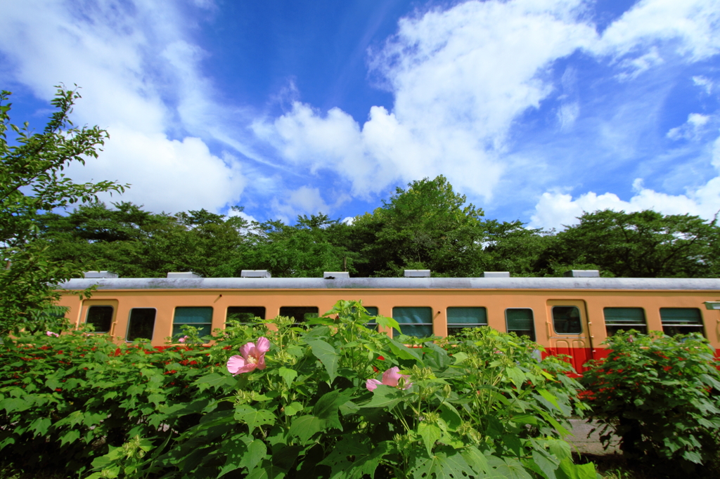 晩夏の駅