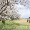 春の牧場Ⅱ