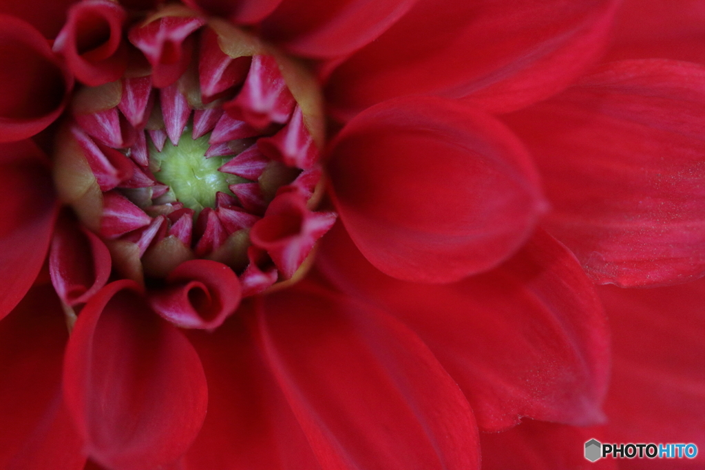 Red temptation