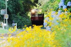 夏を彩る駅