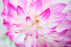 華麗