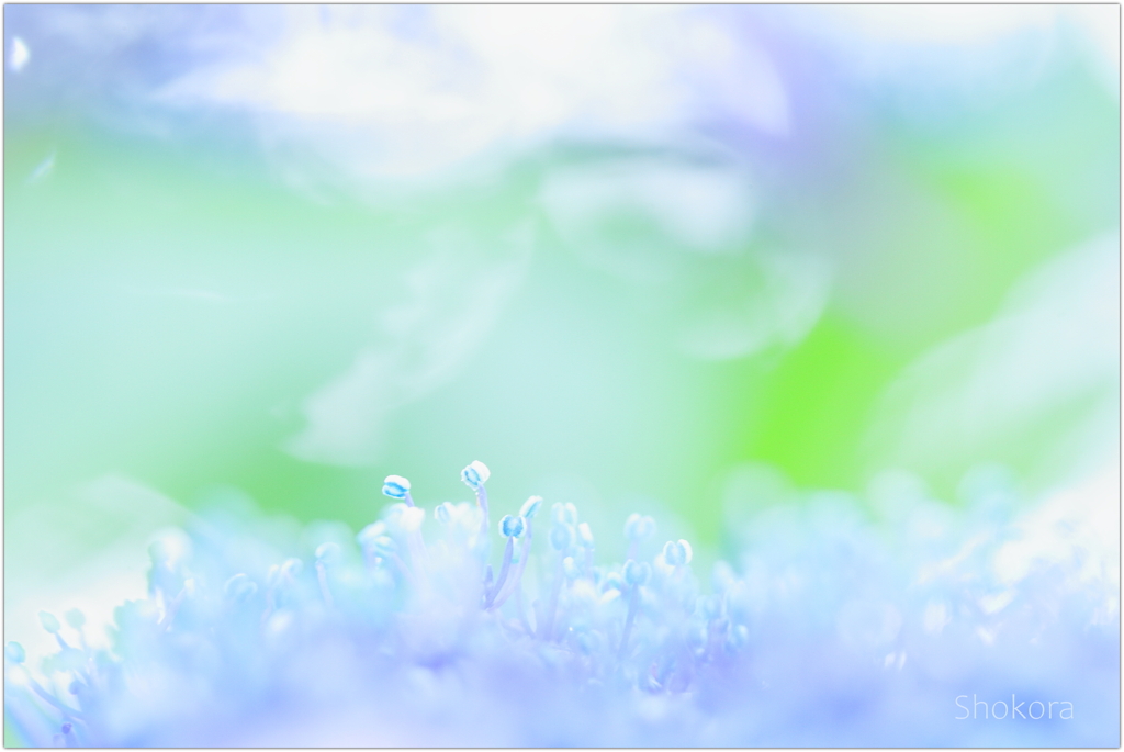 small world