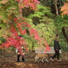 わんちゃんと紅葉狩り