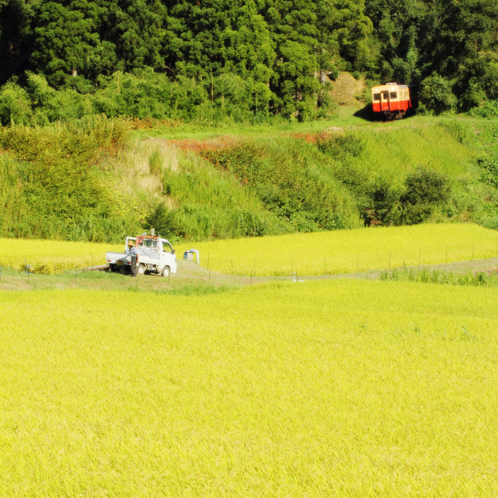 実りの風景