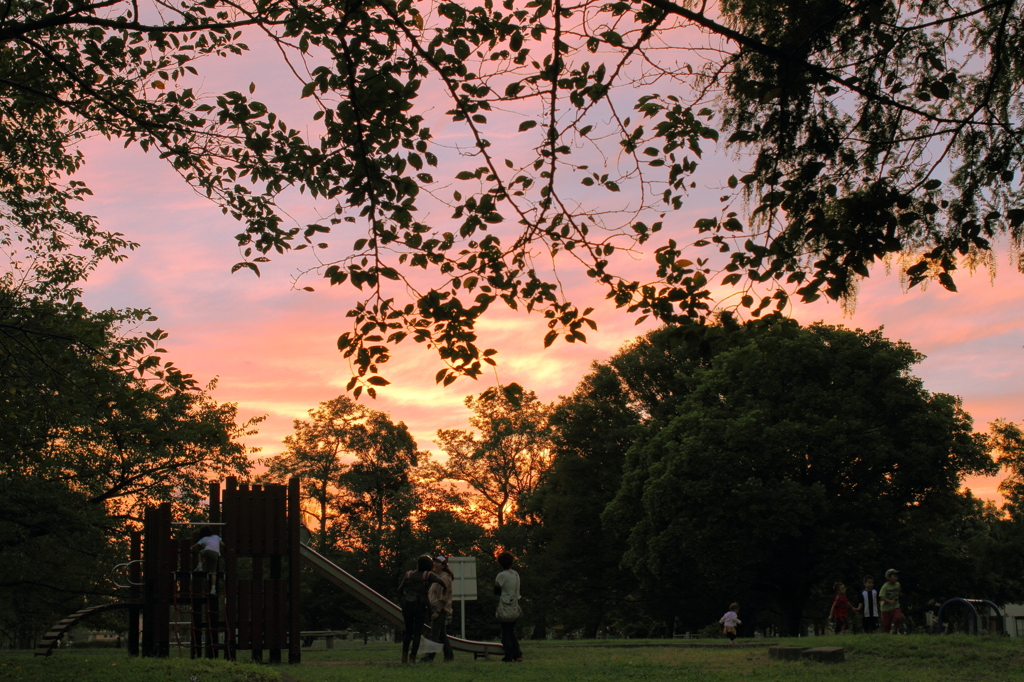 公園の夕空