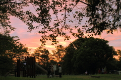公園の夕空