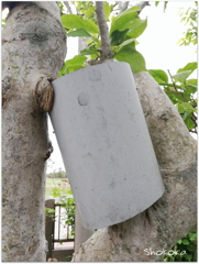 た、食べてる(^^;)