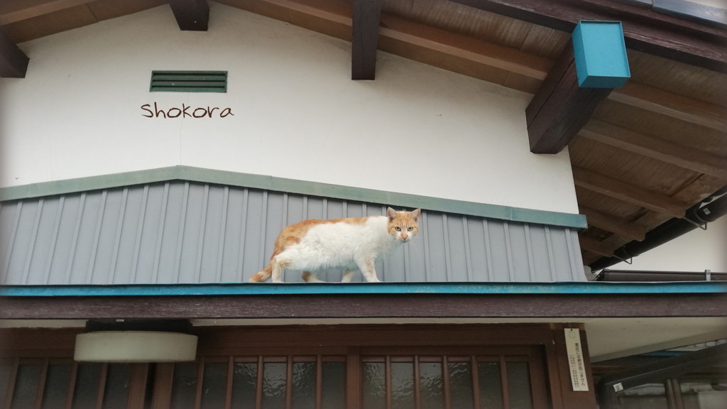なんだよ