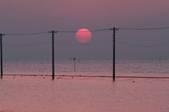 電柱と夕日