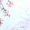 purity7