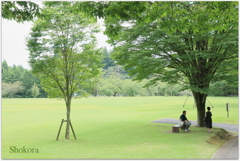 木陰