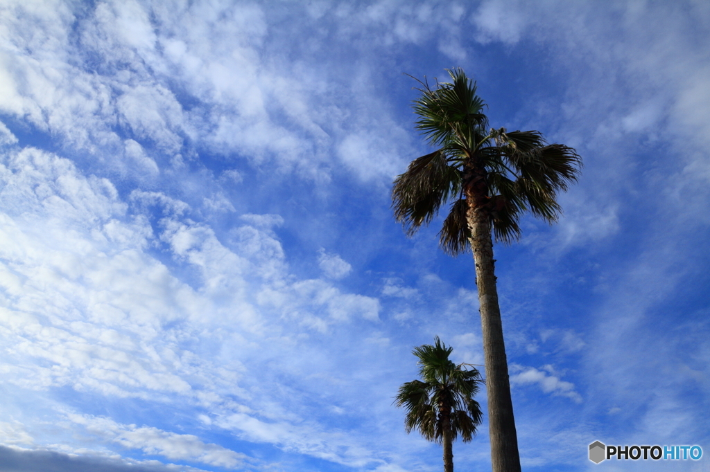 夏空