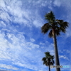 夏空
