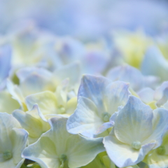 クリームソーダ