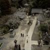 境内を望む