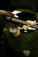 苔のある風景