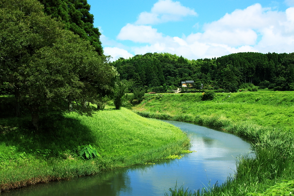 初夏の小川