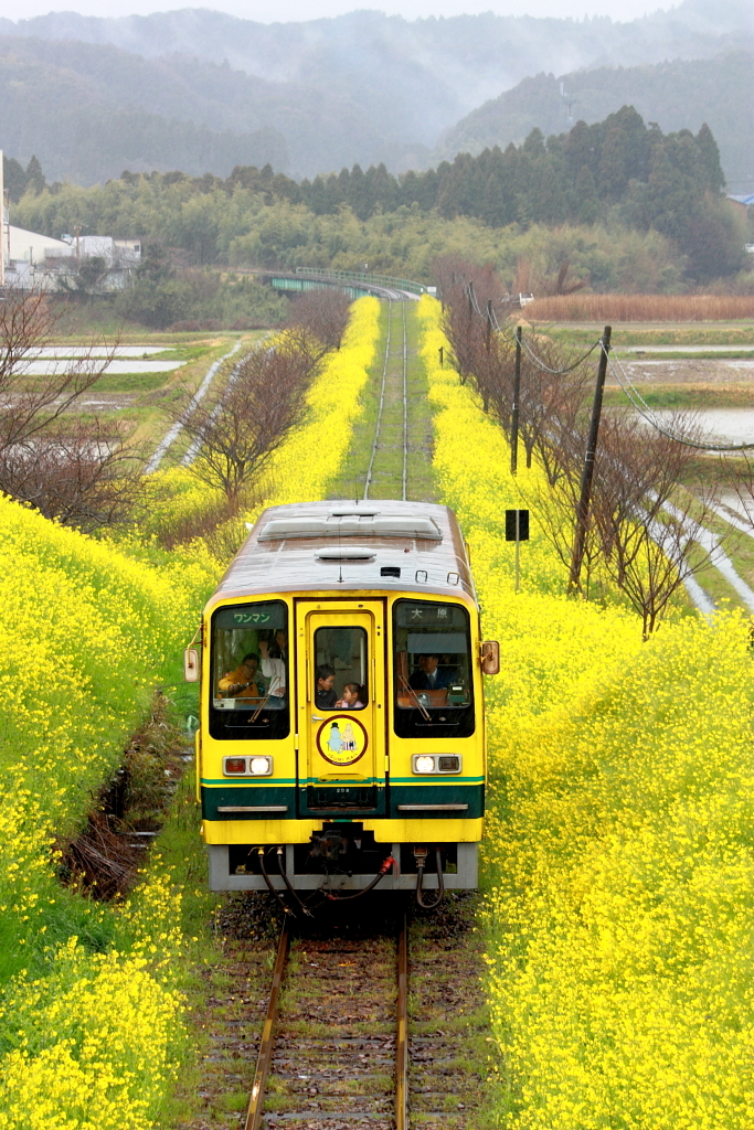 線路のある風景Ⅳ～雨の日～ by shokora （ID：494225） - 写真共有