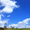夏の踏切