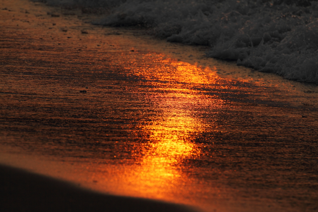 Sound of the beach