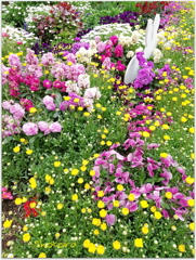 花園