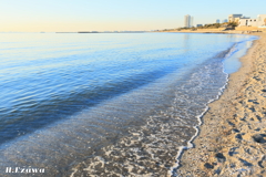 検見川の浜