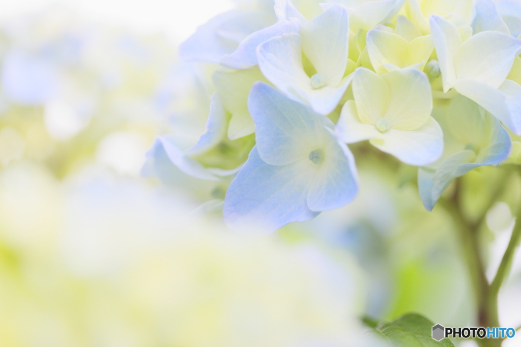 Refreshing blue　Ⅱ